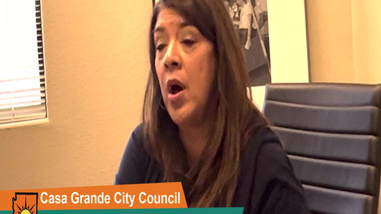 Lisa Navarro Fitzgibbons interview